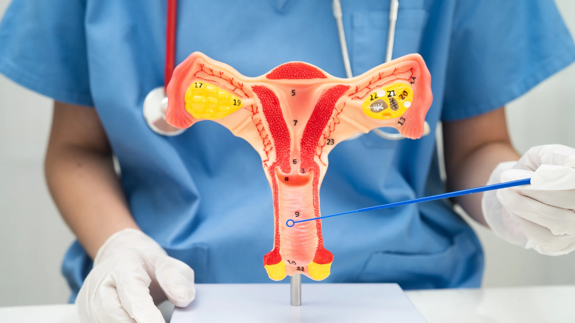 Vaginoplasty & Vaginal Tightening